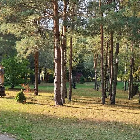 Agroturystyka Camping 度假居 奥日什