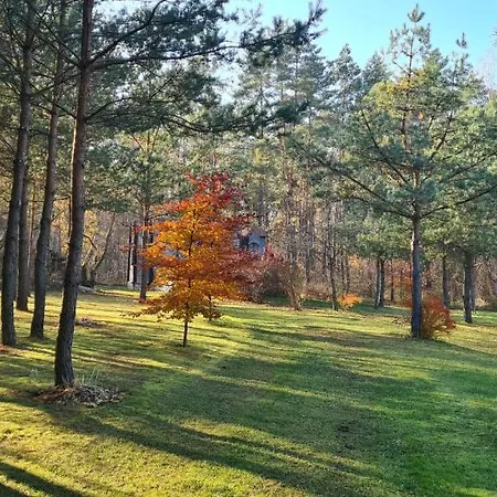 度假居 Agroturystyka Camping