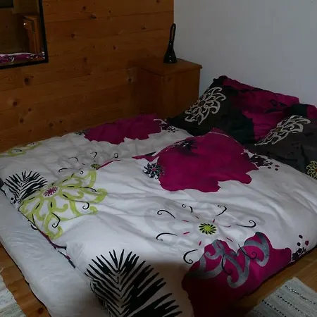 Agroturystyka Camping *