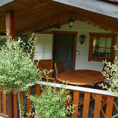 Agroturystyka Camping * 奥日什